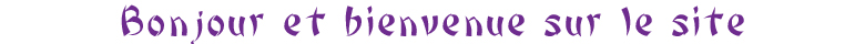 Bonjour et bienvenue sur le site